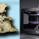 Illustration for article titled 3D Printing Gives a Dog a Bone (For Invasive Surgery)